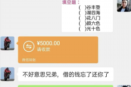 威远如何避免债务纠纷？专业追讨公司教您应对之策